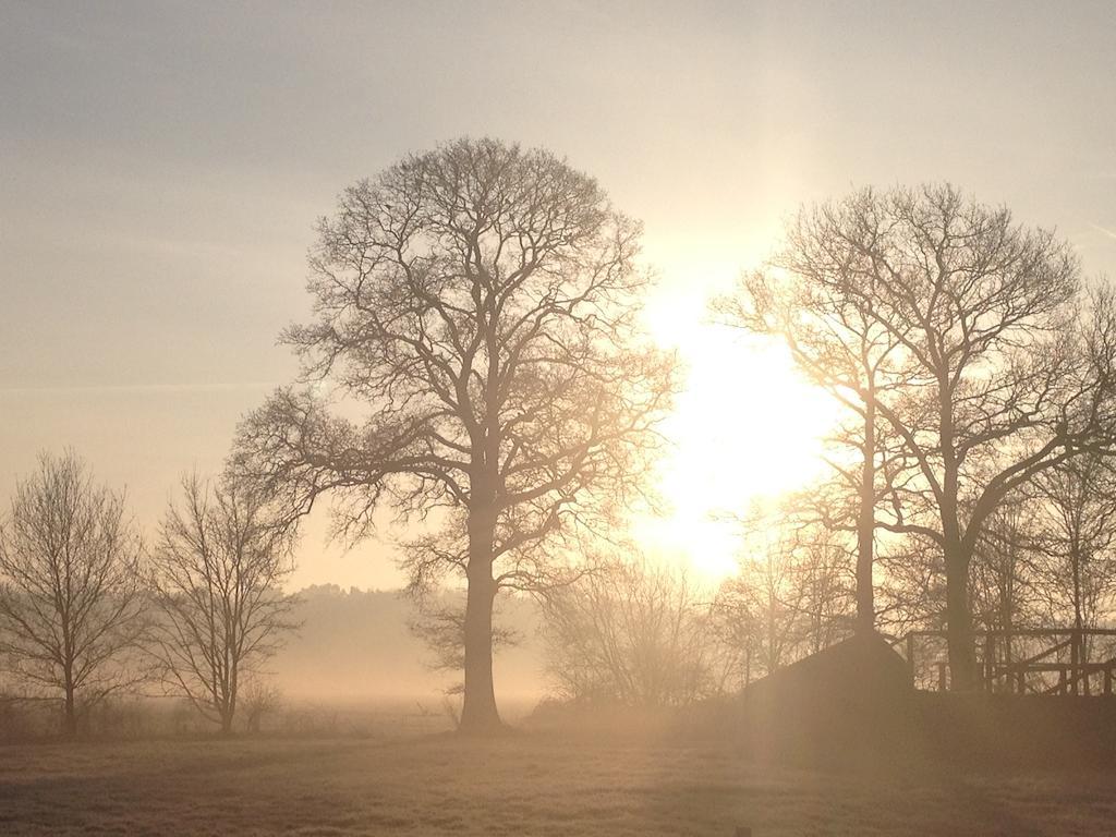 Gasterij Landschot Bed & Breakfast Hoogeloon Bagian luar foto