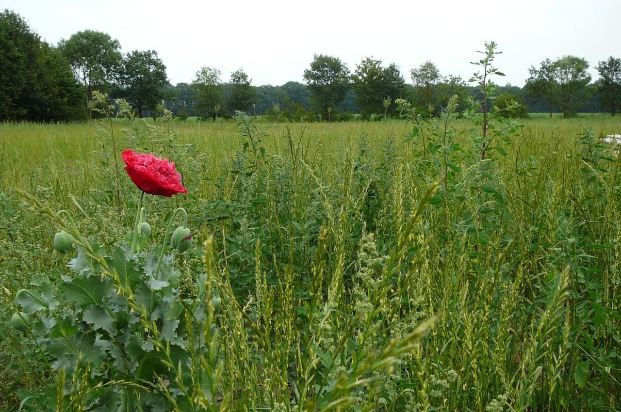 Gasterij Landschot Bed & Breakfast Hoogeloon Bagian luar foto